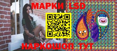 гашик Тулун