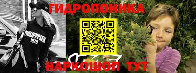 PSILOCYBIN Тула