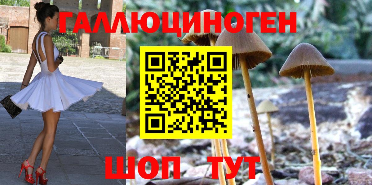 Артём  Галлюциногенные грибы GOLDEN TEACHER  Вход с VPN 