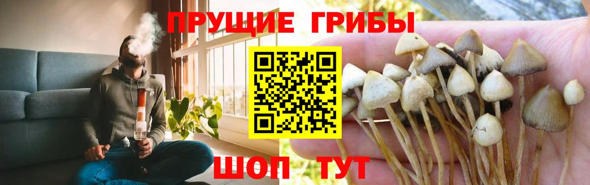 Псилоцибиновые грибы мухоморы Артём